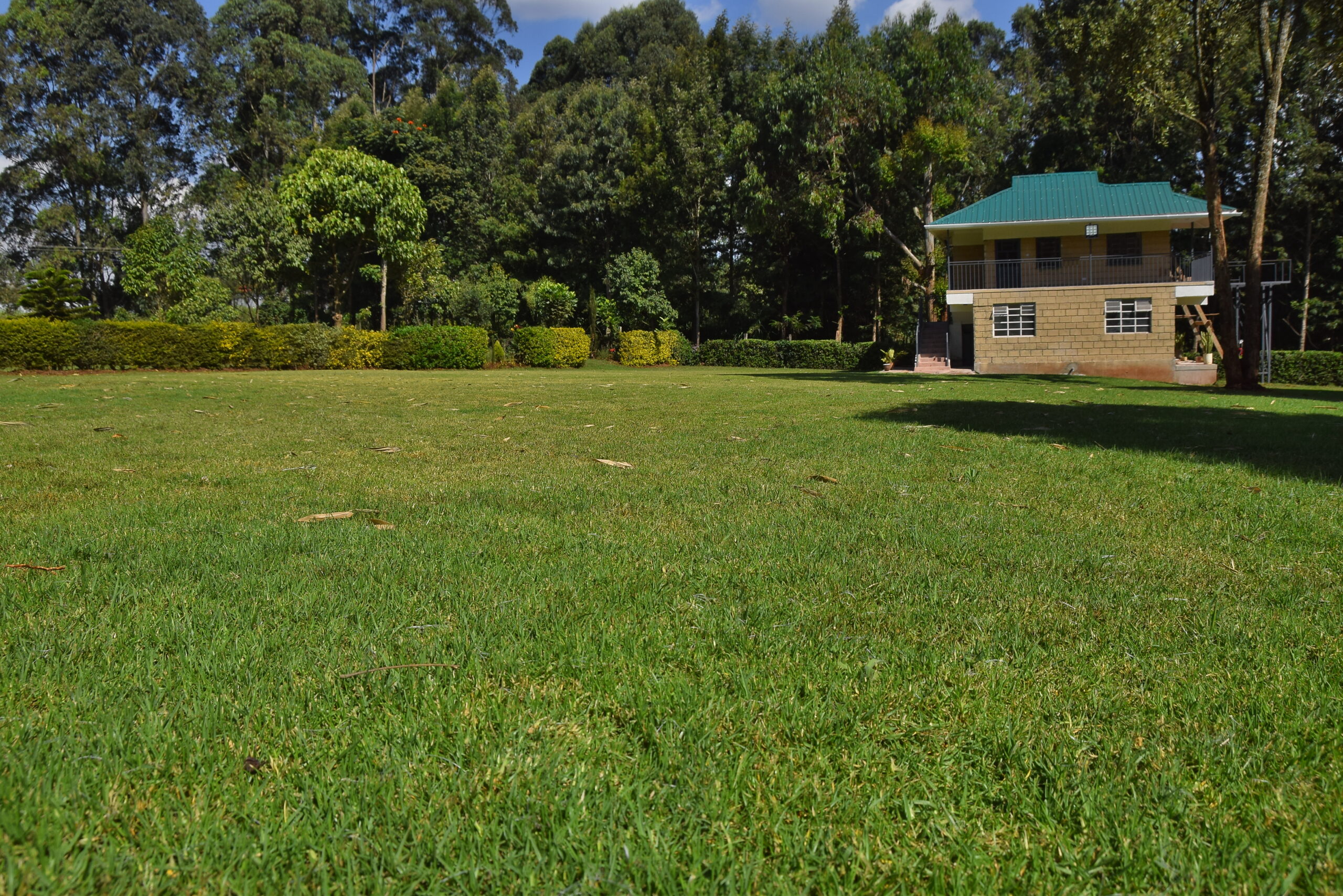 Muoria's Garden image