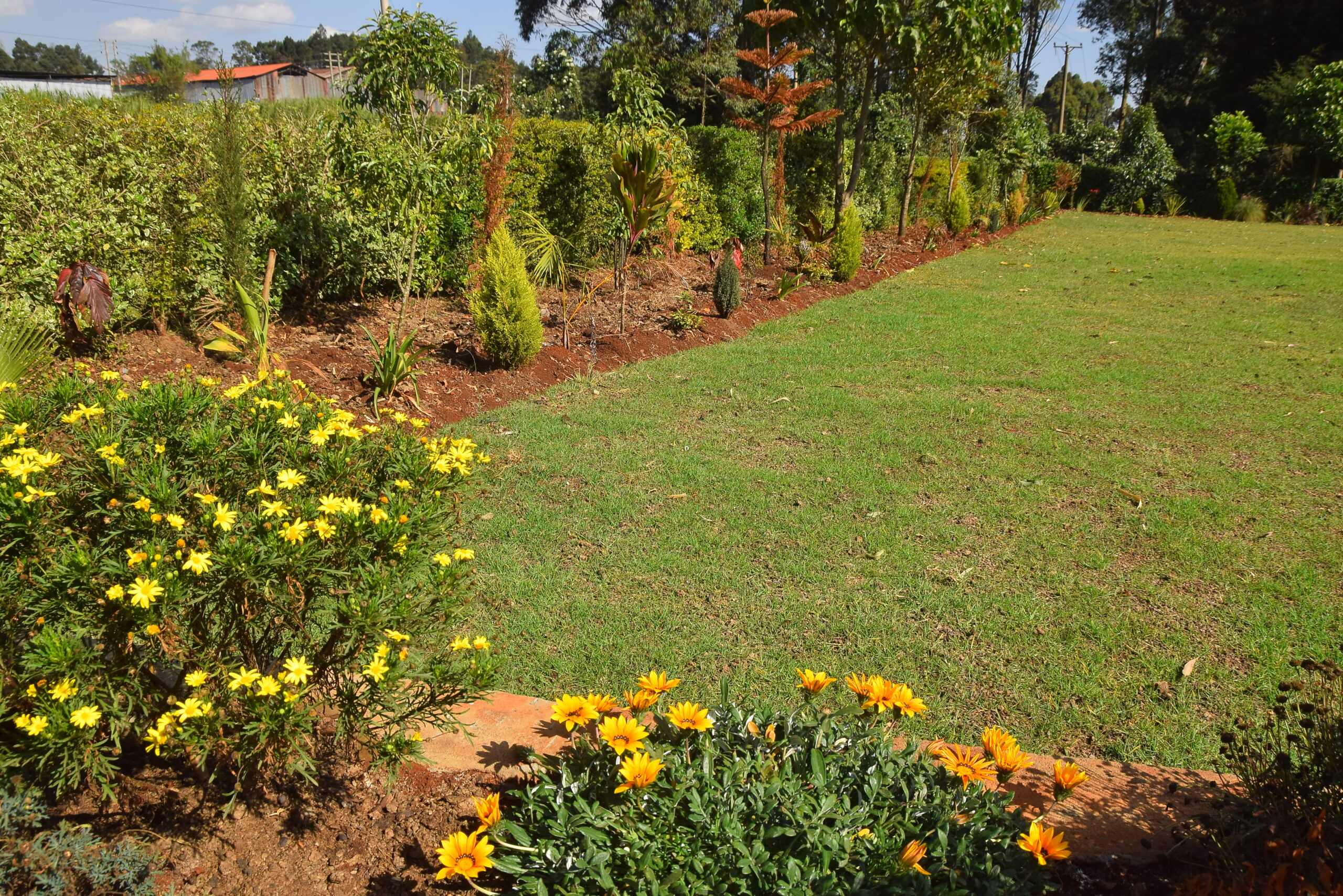 Muoria's Garden