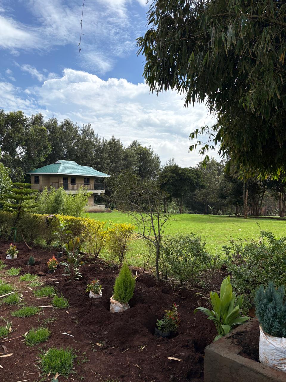 Mworia's Garden view image