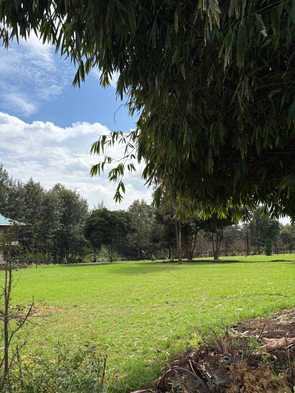 Muoria's Garden outdoor grounds