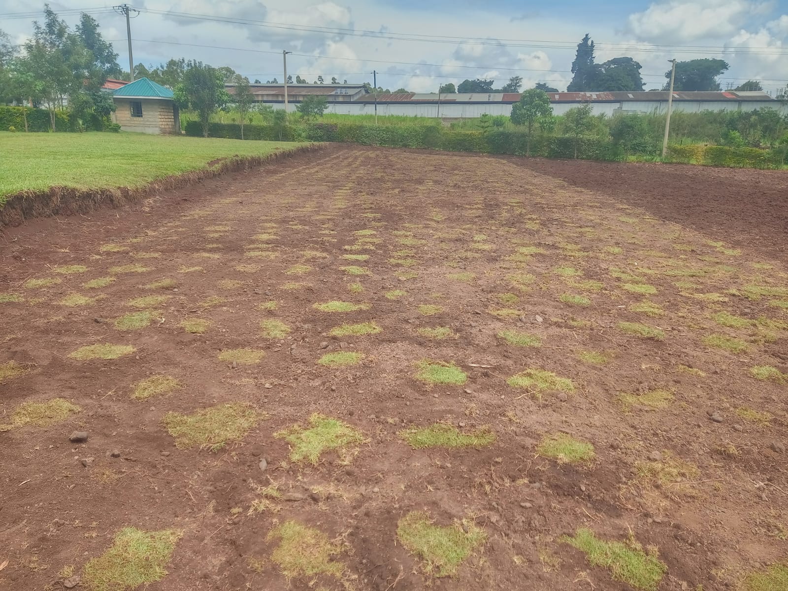 Early landscaping work