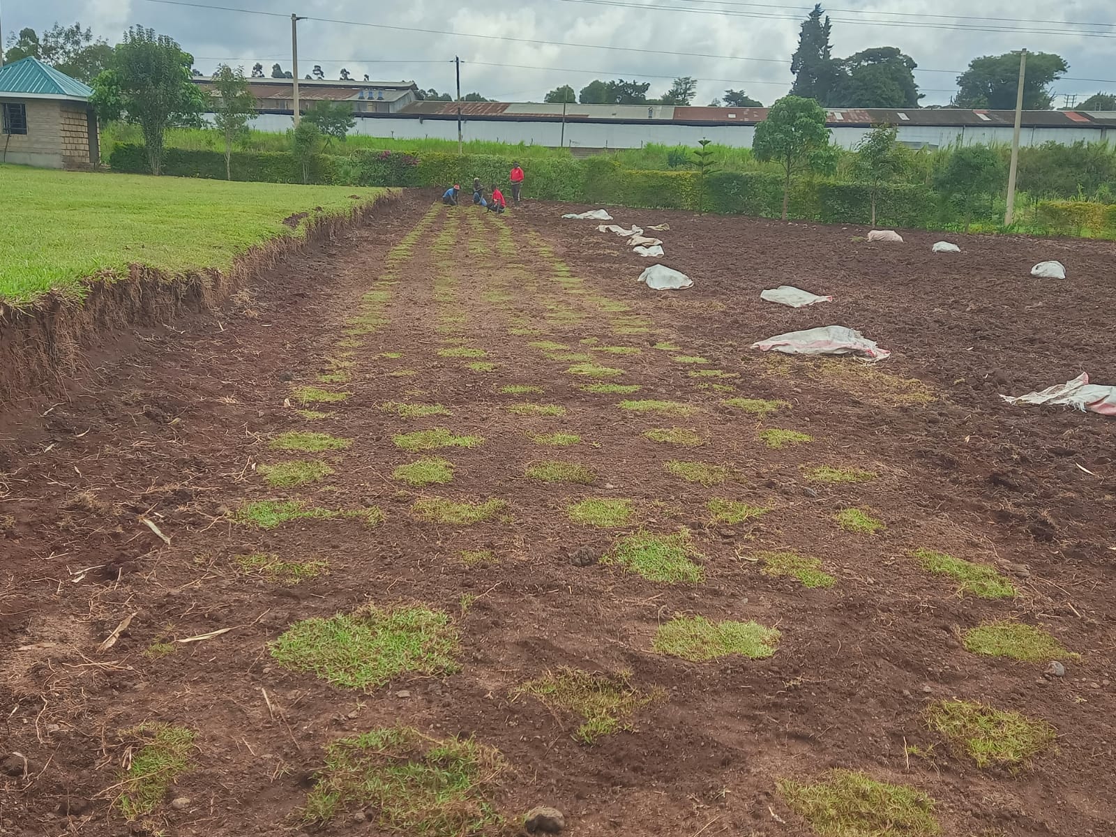 Ground taking shape