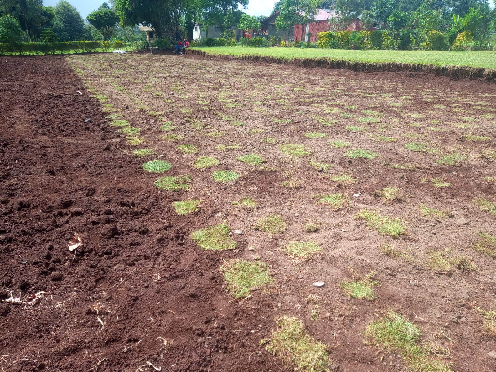 Ground preparation
