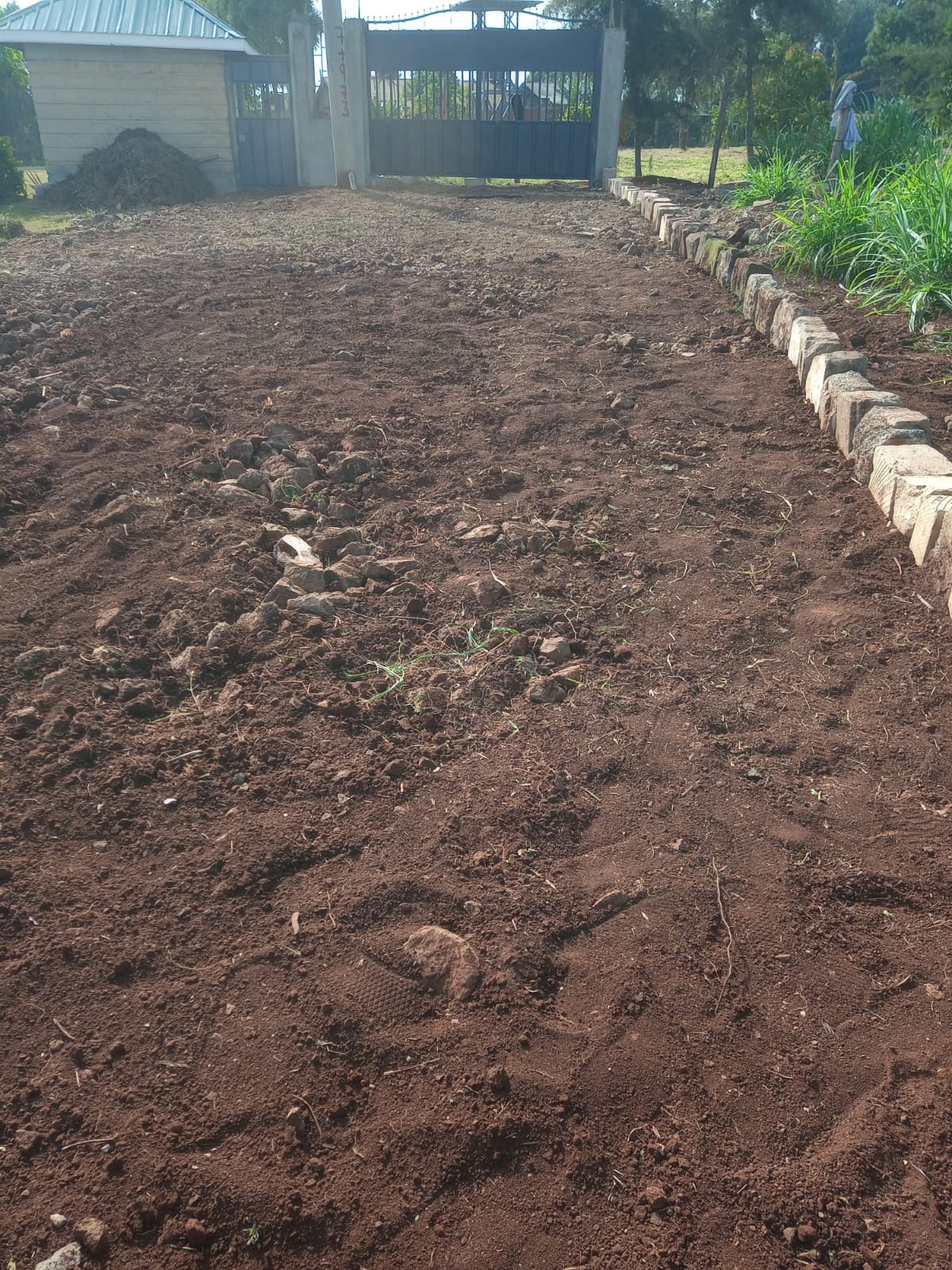 Garden edge and ground preparation