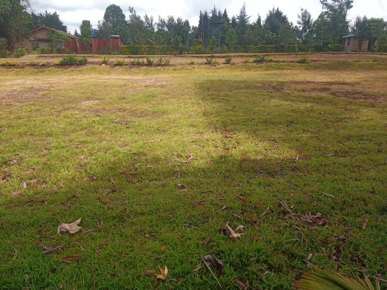 Open ground during the transformation