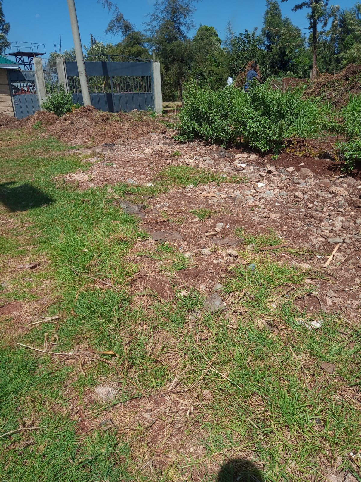 Garden landscape detail