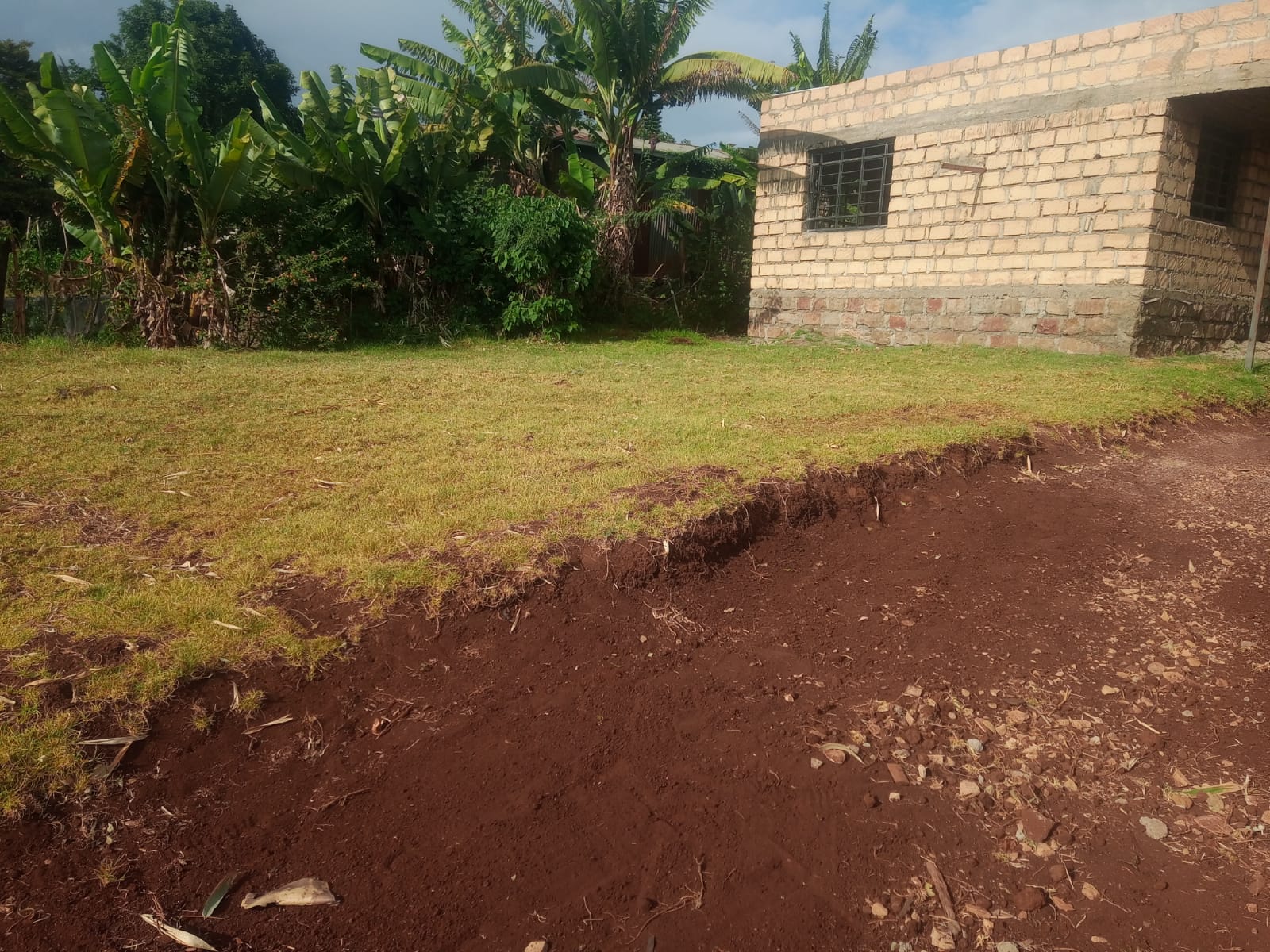 Garden edge and developing landscape