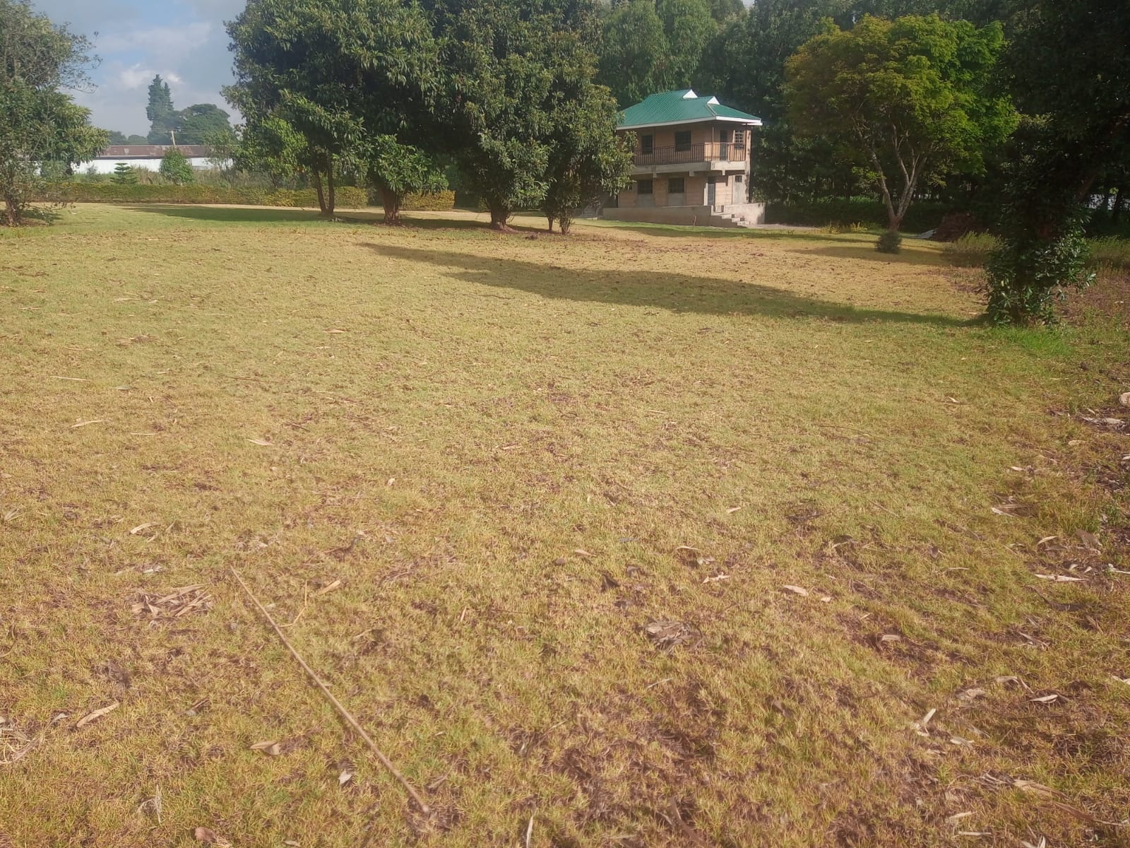 Open green lawn