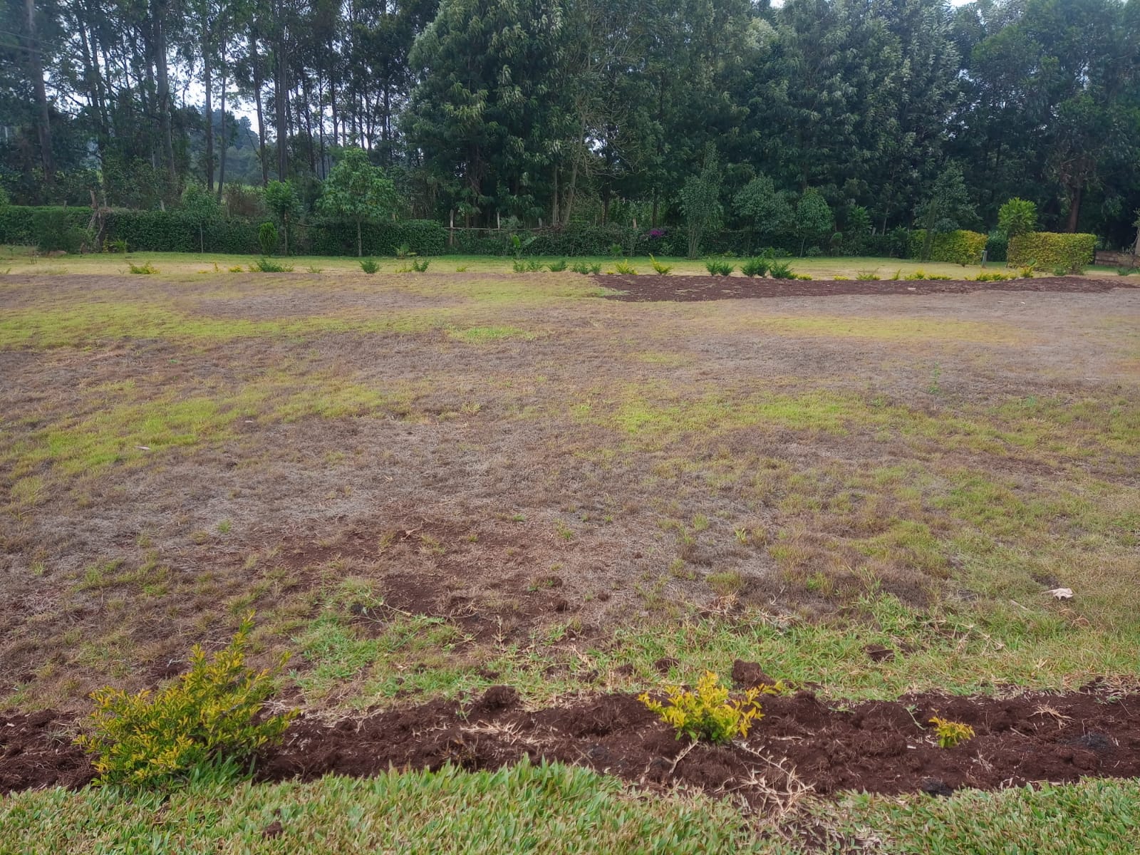 Open ground before development at Muoria's Garden