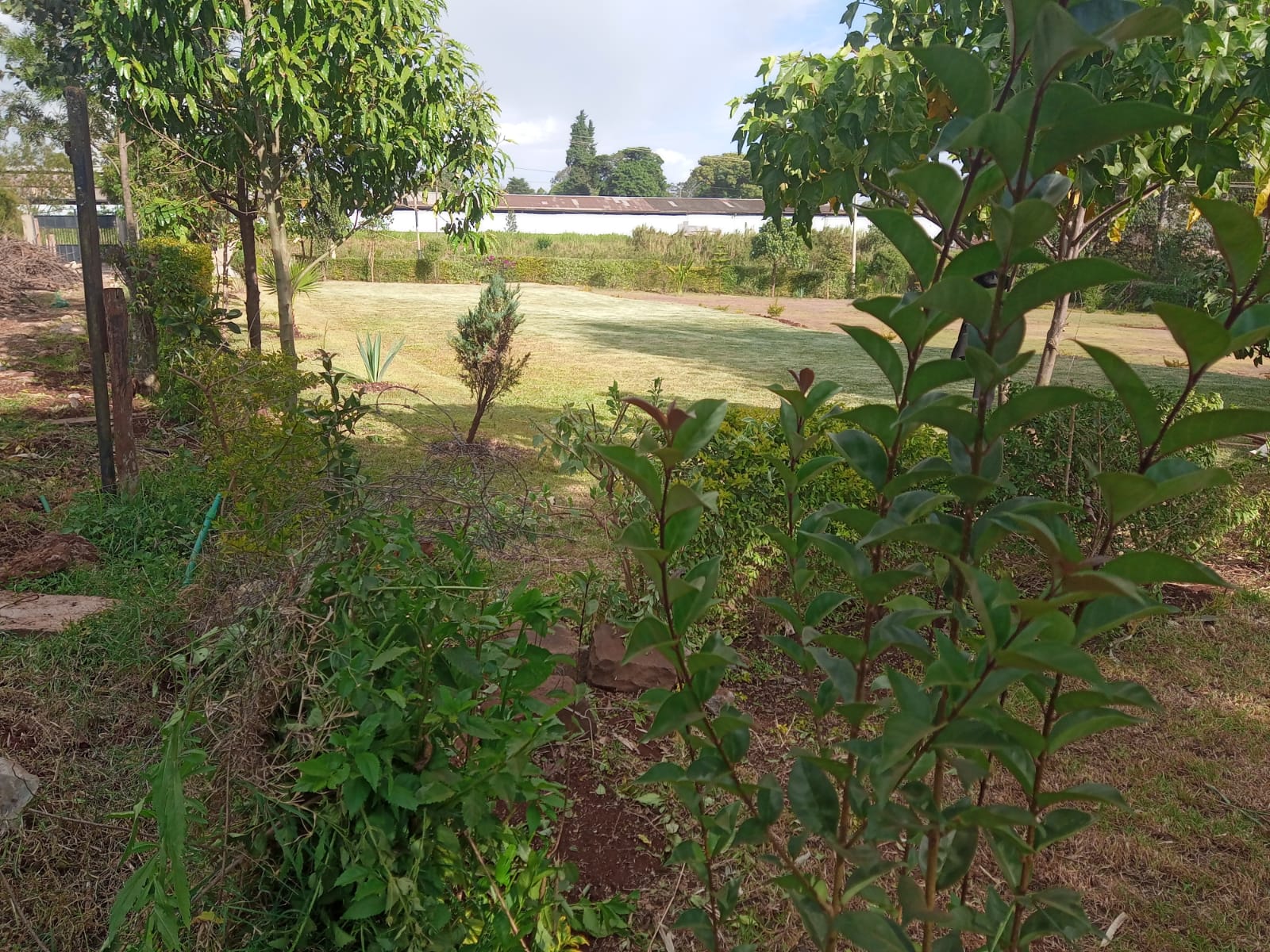 Muoria's Garden outdoor space